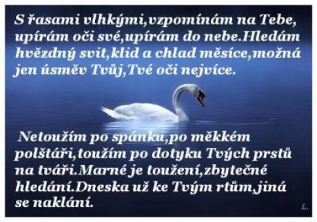 prekladač